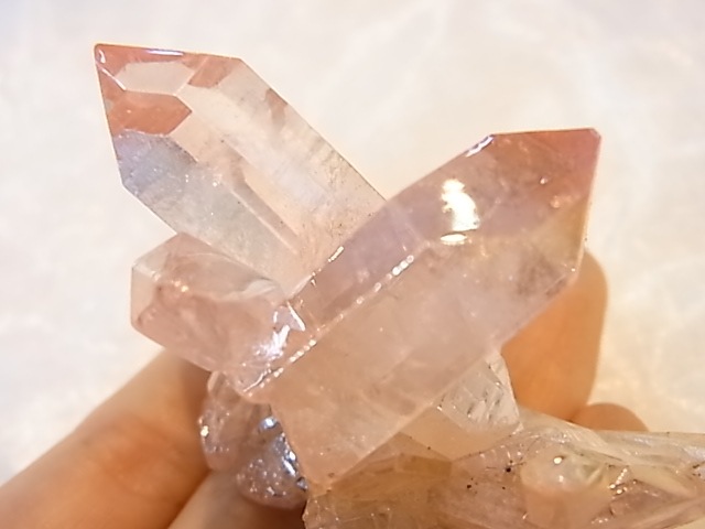 GGI0010F �ԥ󥯥����饯�����ĥ��饹������