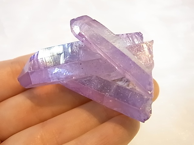 GGI0011F ѡץ륪饯ĥ饹