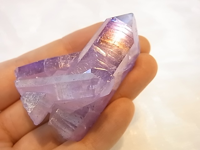 GGI0011F ѡץ륪饯ĥ饹