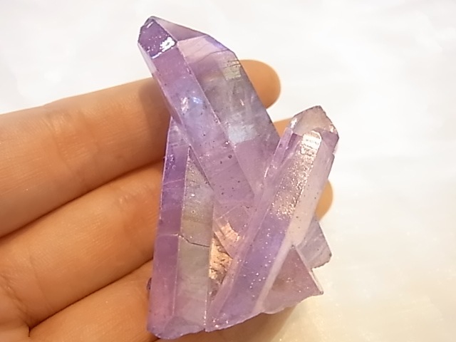 GGI0011F ѡץ륪饯ĥ饹