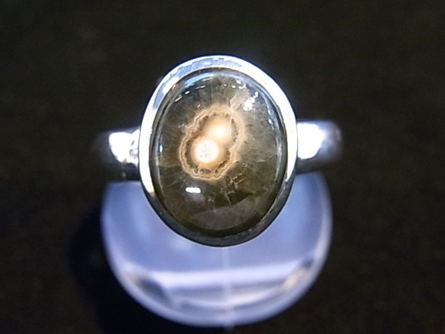 RA00054F����������󥸥㥹�ѡ�������С����