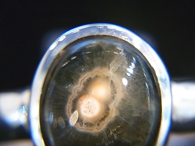 RA00054F����������󥸥㥹�ѡ�������С����