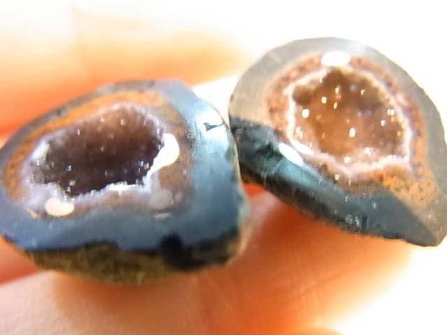 GGI0012F �ȥ쥸�㡼 �������� �ڥ� ���ɥ饴�󥢥����ȡ����ﾽƶ