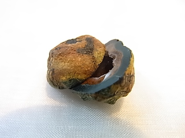 GGI0012F �ȥ쥸�㡼 �������� �ڥ� ���ɥ饴�󥢥����ȡ����ﾽƶ