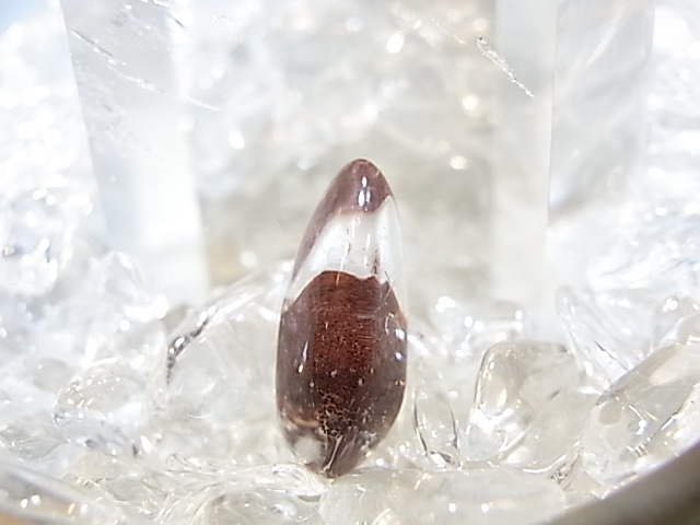 GA00053K����åɥե���ȥ९�����ġ����������ʥߥ˥������˥֥饸�뻺