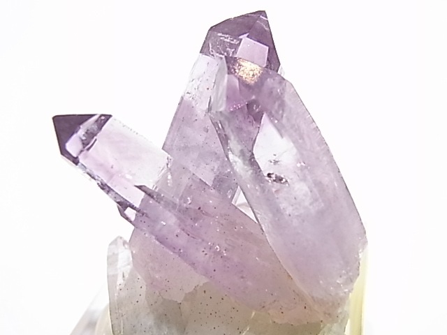 GA00082K���٥饯�륹���᥸���� ���� �ᥭ������