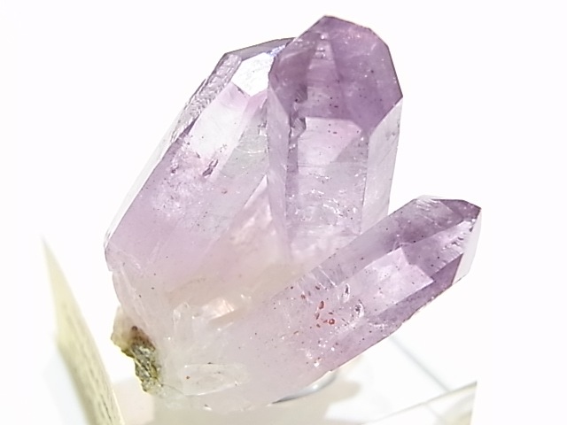 GA00082K���٥饯�륹���᥸���� ���� �ᥭ������