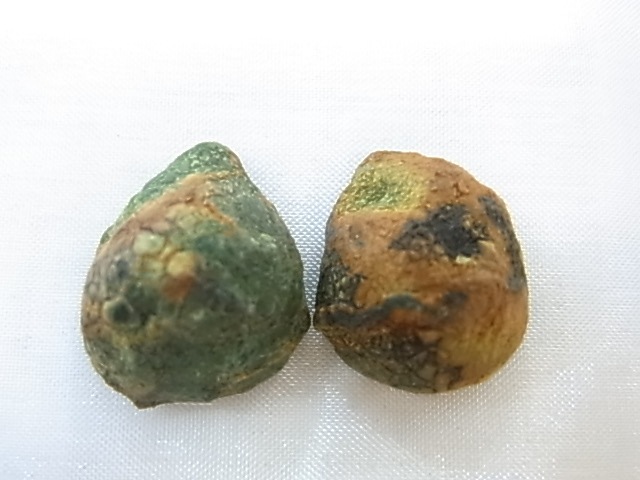 GGI0013F ȥ쥸㡼  ڥ ɥ饴󥢥ȡﾽƶ