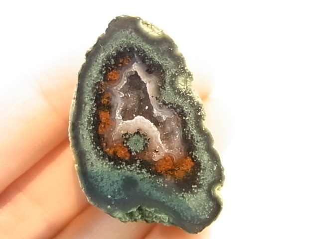 GGI0013F ȥ쥸㡼  ڥ ɥ饴󥢥ȡﾽƶ