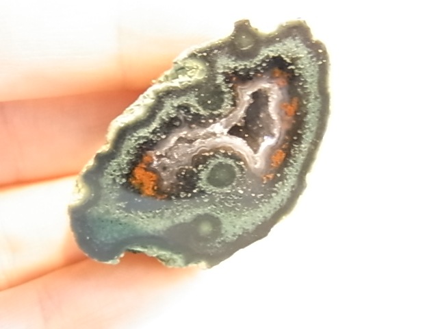 GGI0013F ȥ쥸㡼  ڥ ɥ饴󥢥ȡﾽƶ