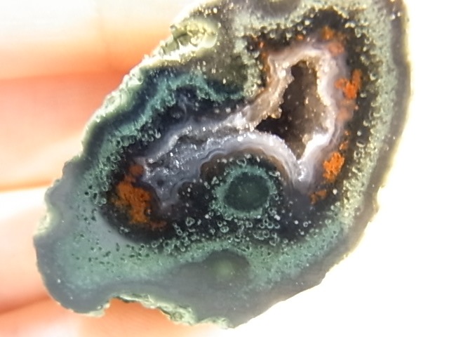 GGI0013F ȥ쥸㡼  ڥ ɥ饴󥢥ȡﾽƶ