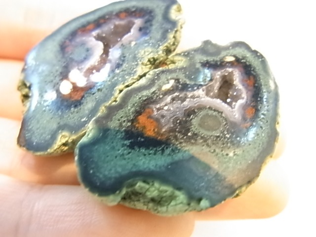 GGI0013F ȥ쥸㡼  ڥ ɥ饴󥢥ȡﾽƶ