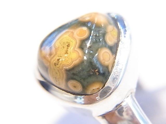 RA00056F����������󥸥㥹�ѡ�������С����