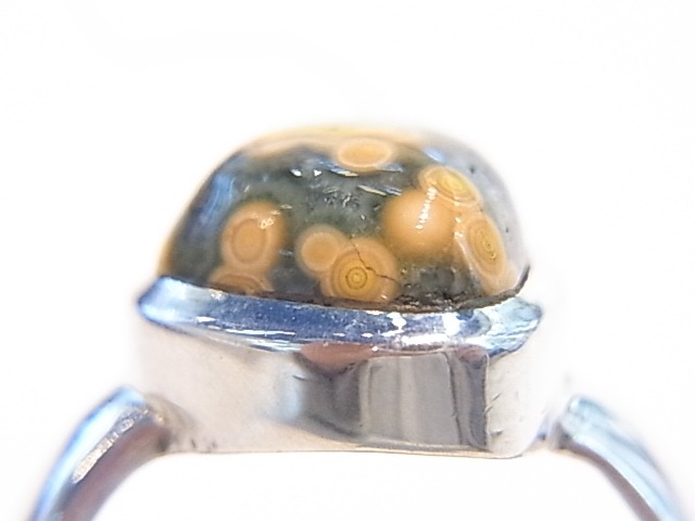 RA00056F����������󥸥㥹�ѡ�������С����