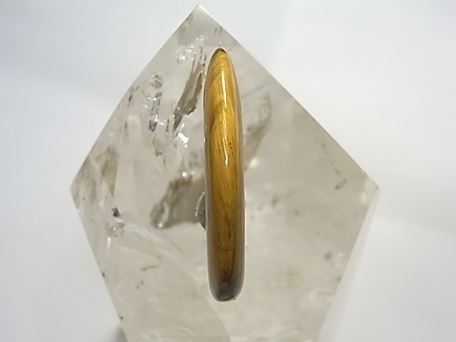 PF0037 ������������