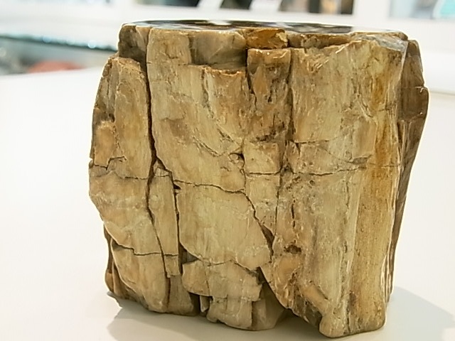 GK00015F  �ڥȥ�ե����ɥ��åɸ��С��ڴ����С�