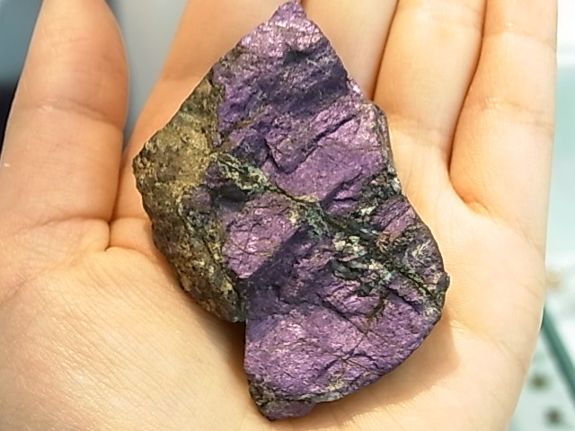 GK00018F �ѡ��ץ饤�ȸ���  �ڴ����Сۡ�