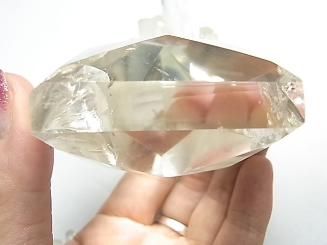 TF0017 �徽�ڸ�������