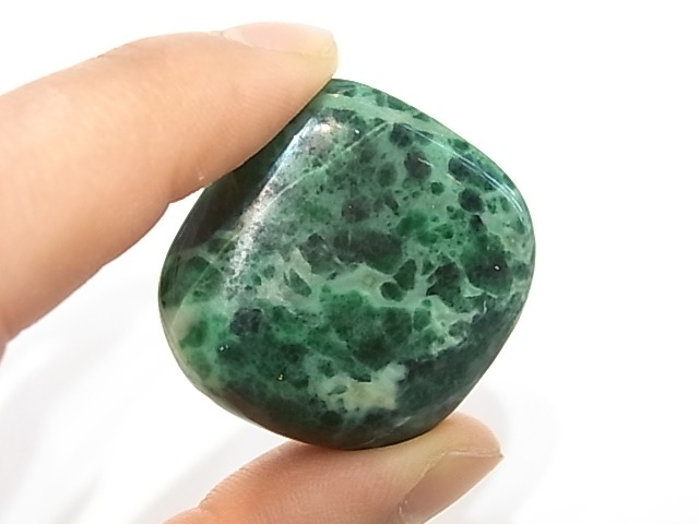 TK00012F ���������ȡ�����֥롡�ڴ����С�