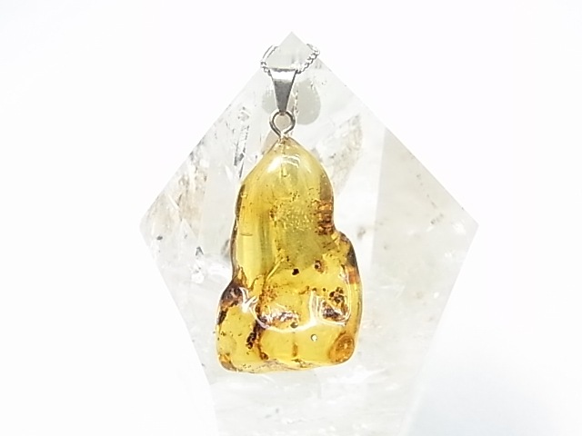 PF0089  ����С�