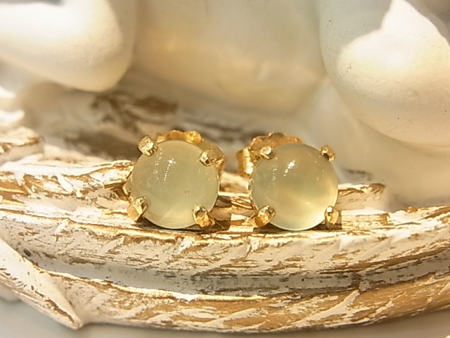 PIK00024F�����ۥ����� ������ɥԥ��� (14K) �ش����С�