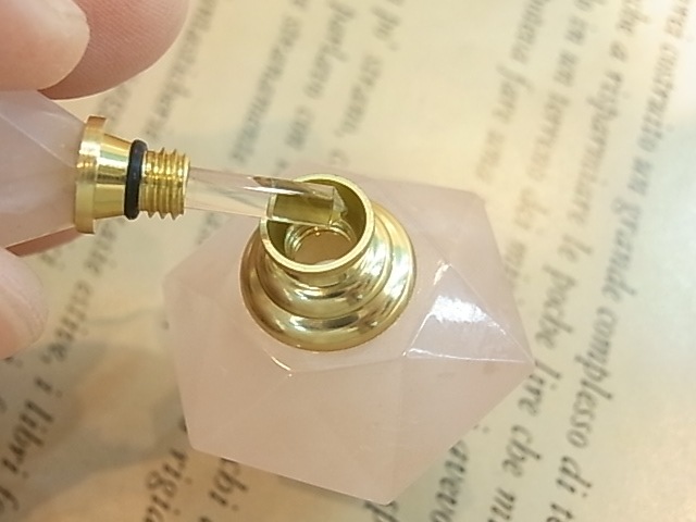 CY0014F���������������ĥѥե塼��ܥȥ�ʥ�����ɡ�