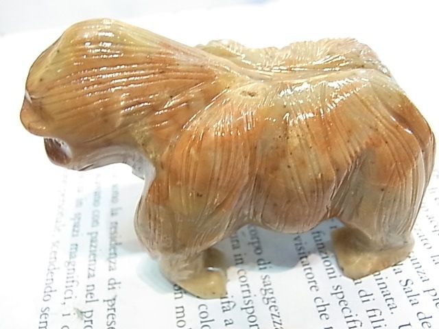 CY0021F �����ץ��ȡ���[�����]