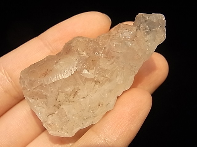 GK00071F �ҥޥ��徽�����������ꥹ���� ����