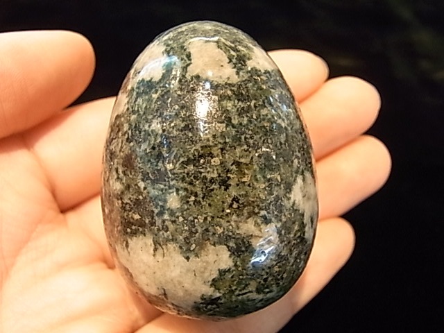 EK00011F �ץ쥻��֥롼���ȡ��󡡥��å���