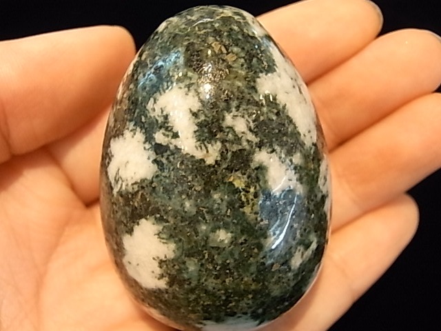 EK00012F �ץ쥻��֥롼���ȡ��󡡥��å�