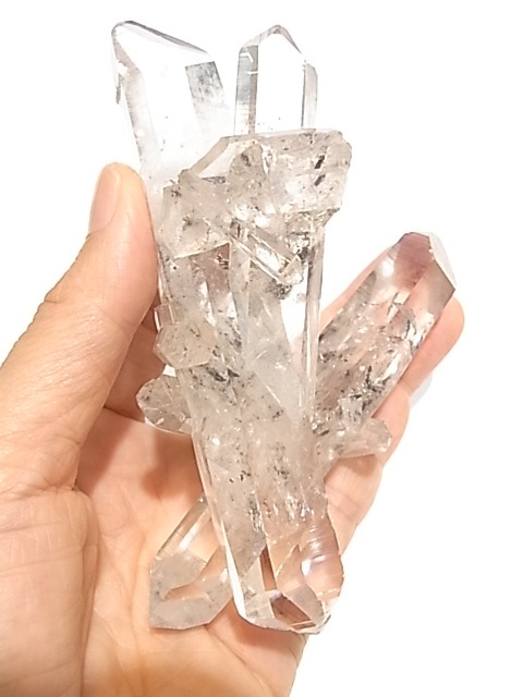 TG000015T�����٥åȥ������ġ�����