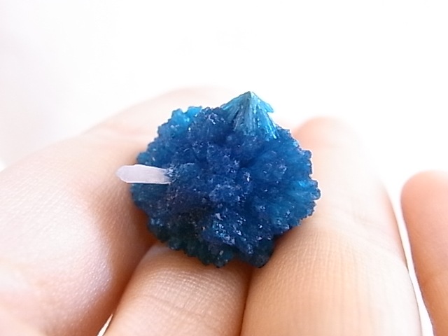 BU0125F ���Х󥵥��ȸ��С�����ɻ�