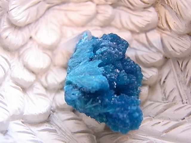 BU0126F ���Х󥵥��ȸ��С�����ɻ�