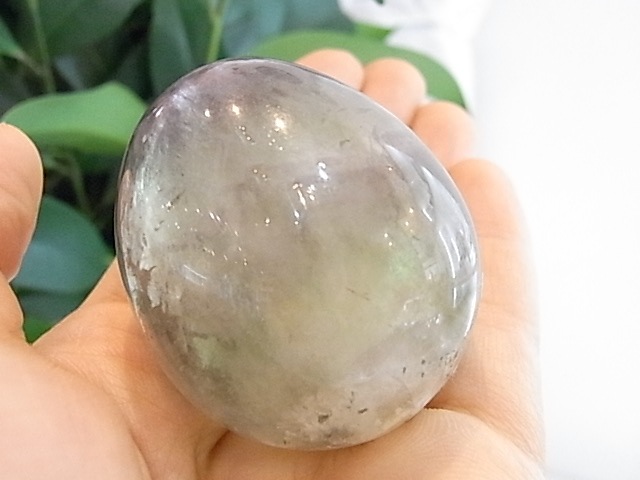 BU00131F �ե����饤�� ���å�