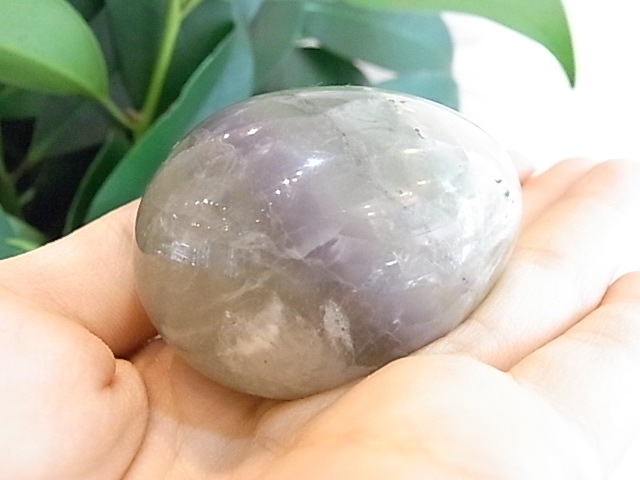 BU00133F �ե����饤�� ���å�