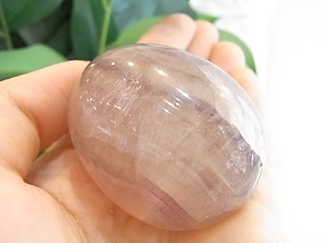 BU00134F �ե����饤�� ���å�