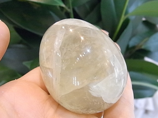 BU00136F �ե����饤�� ���å�