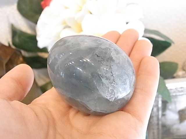 BU00140F �ե����饤�ȡ��ǥ�ɥ饤�����ꡡ���å�