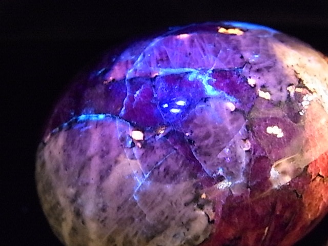 EK00029F ������Т�桼�ǥ����饤�ȡ����å���(��������)