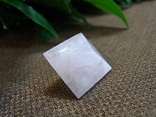 UE00094K �ץ�ȥ�Ω�Ρ�5�ĥ��å�