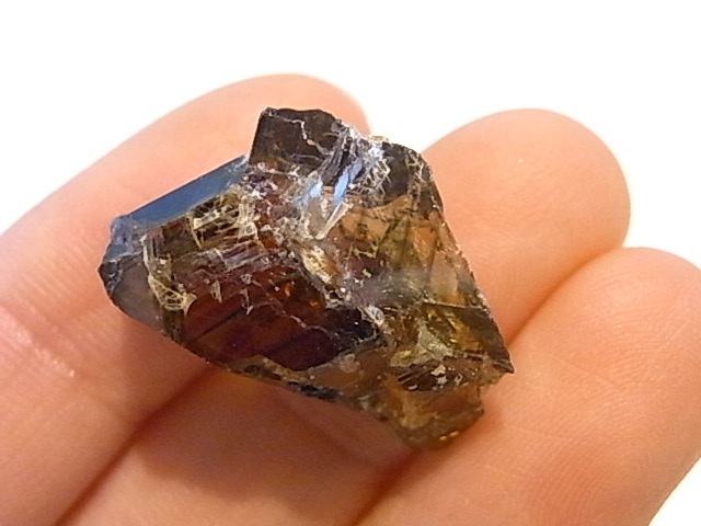 K00269F ե饤ȡСڴС(֥륬ꥢ)