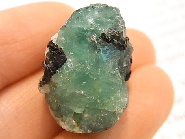 GK00289F ɸ (󥶥˥)