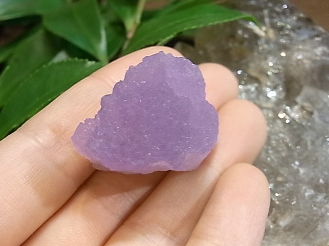 UE00107K�����᥸���ȡ��ϥ󥬥꡼��