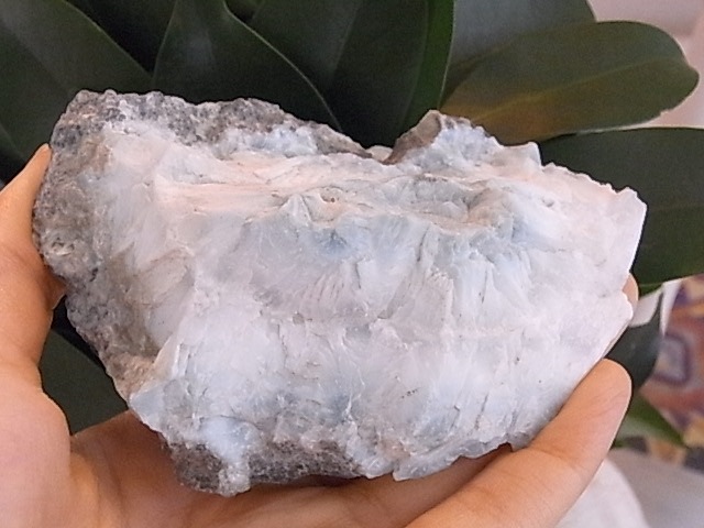 BU00286F ���ޡ�����
