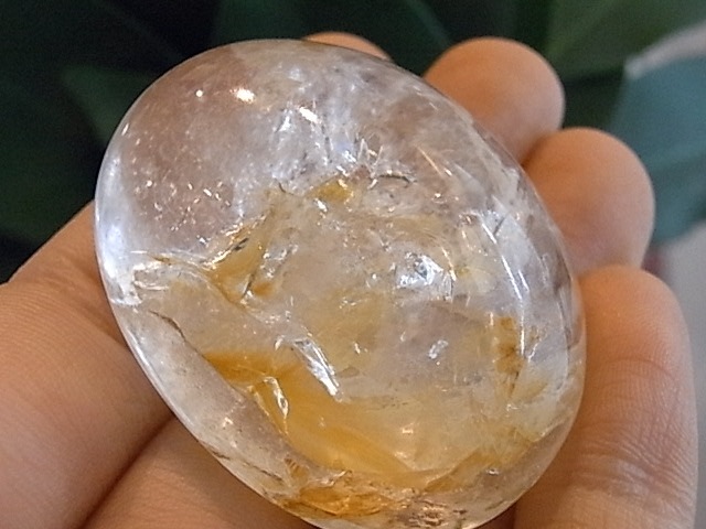 BU00300F��ŷ���ȥѡ��� ���ܥ����