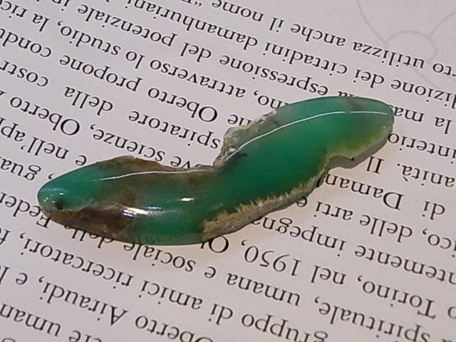 BU00327F ���꥽�ץ졼�����������ȥ�ꥢ