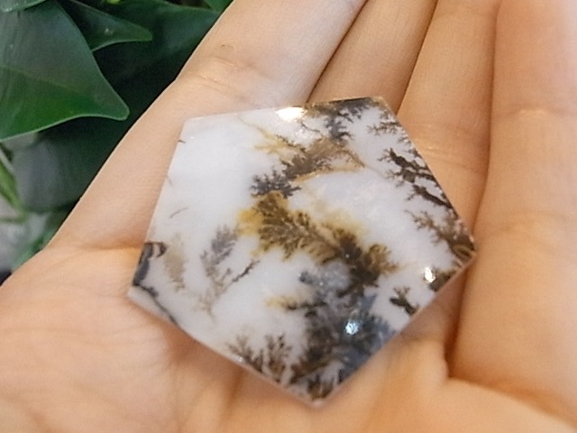 BU00419F �ǥ�ɥ���å���������
