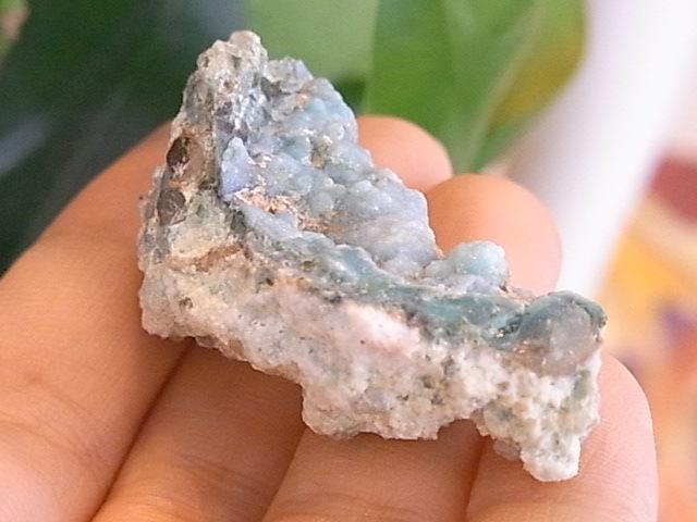 BU00459F�����ۥ��������ꥫ�륻�ɥˡ���������