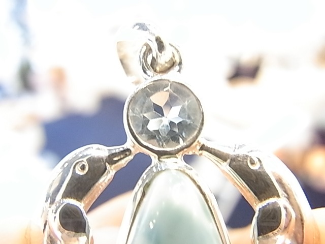 PA00012F Dolphins (Lei) ���ޡ����������ޥ�󡡥ڥ����ȥȥå�