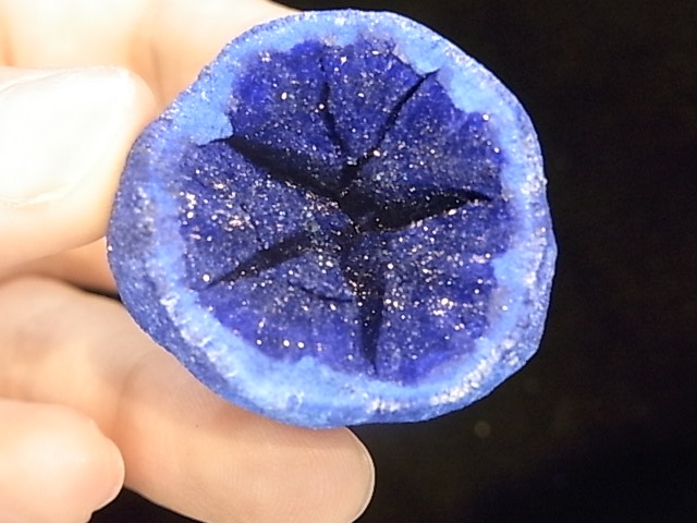 GA0004F �������� �����饤�ȸ���